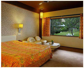 hotel-honeymoon-inn-room