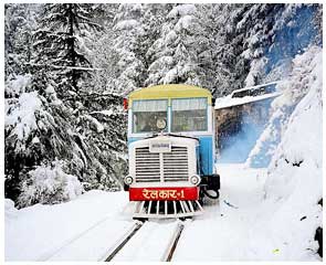 shimla-train